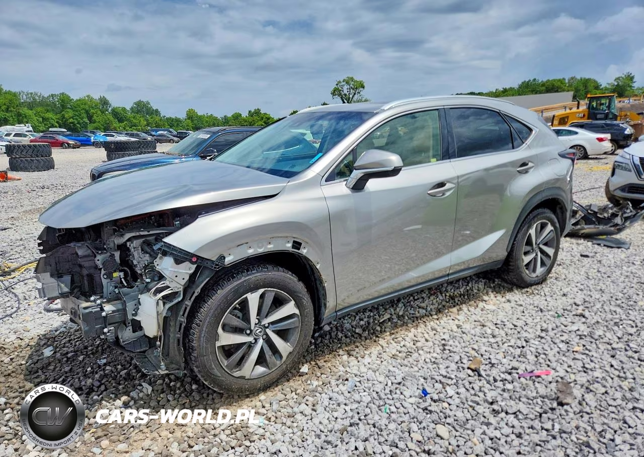 2019 Lexus Nx 300H – zdjęcie 1 z 13