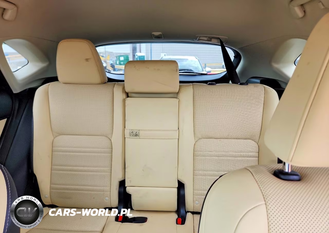 2019 Lexus Nx 300H VIN:JTJBJRBZ3K2104699 - 10