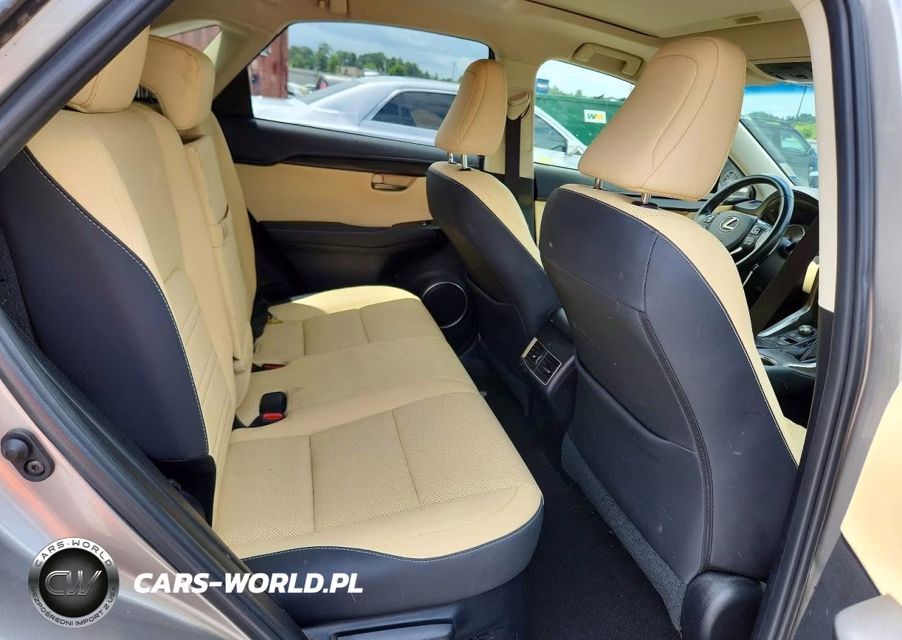 2019 Lexus Nx 300H VIN:JTJBJRBZ3K2104699 - 11