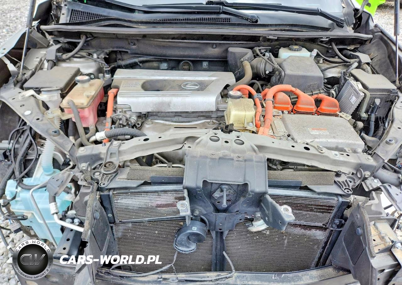 2019 Lexus Nx 300H VIN:JTJBJRBZ3K2104699 - 12