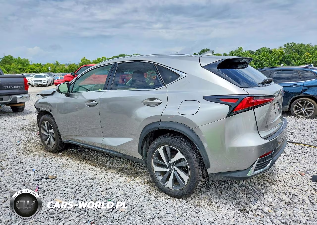 2019 Lexus Nx 300H VIN:JTJBJRBZ3K2104699 - 2