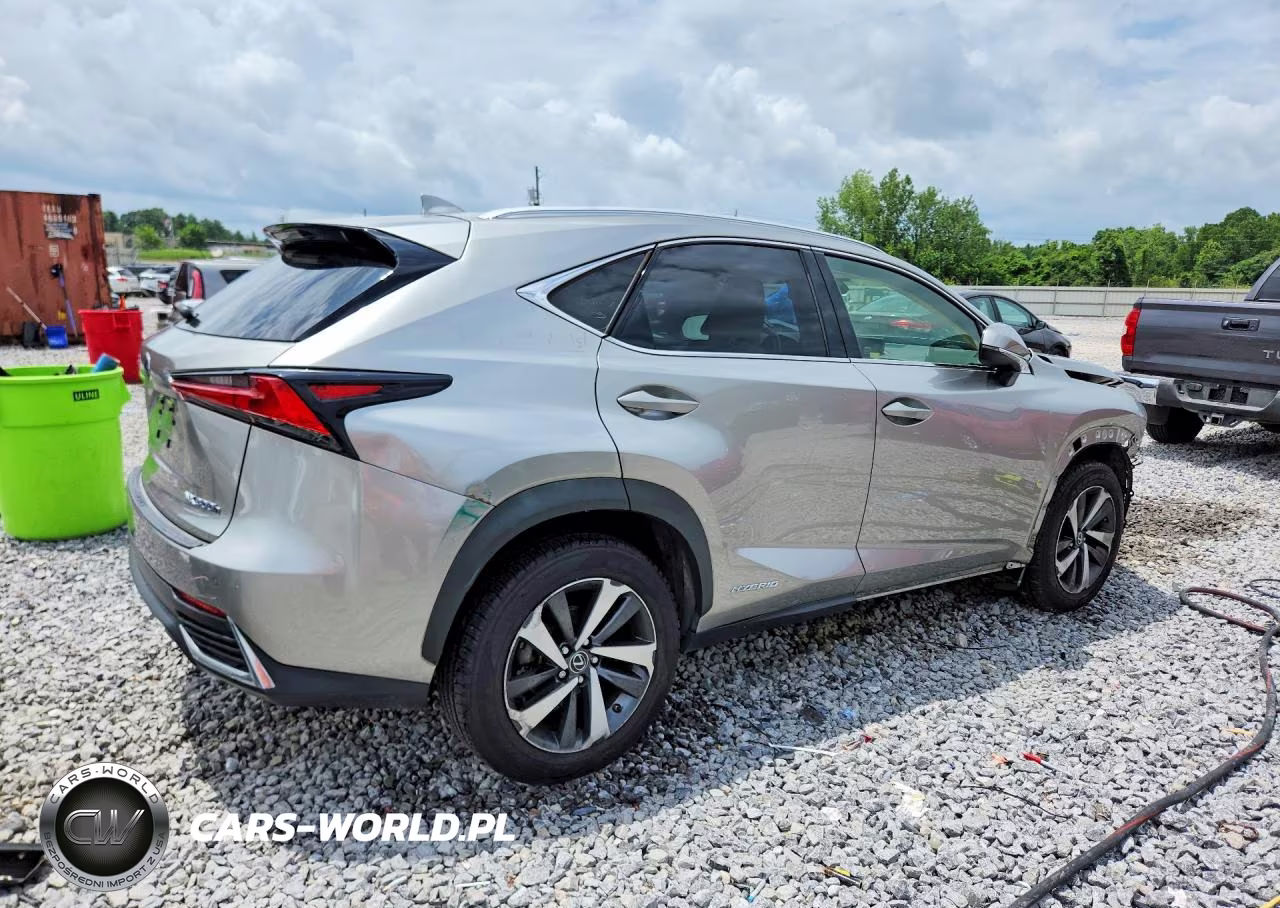2019 Lexus Nx 300H VIN:JTJBJRBZ3K2104699 - 3