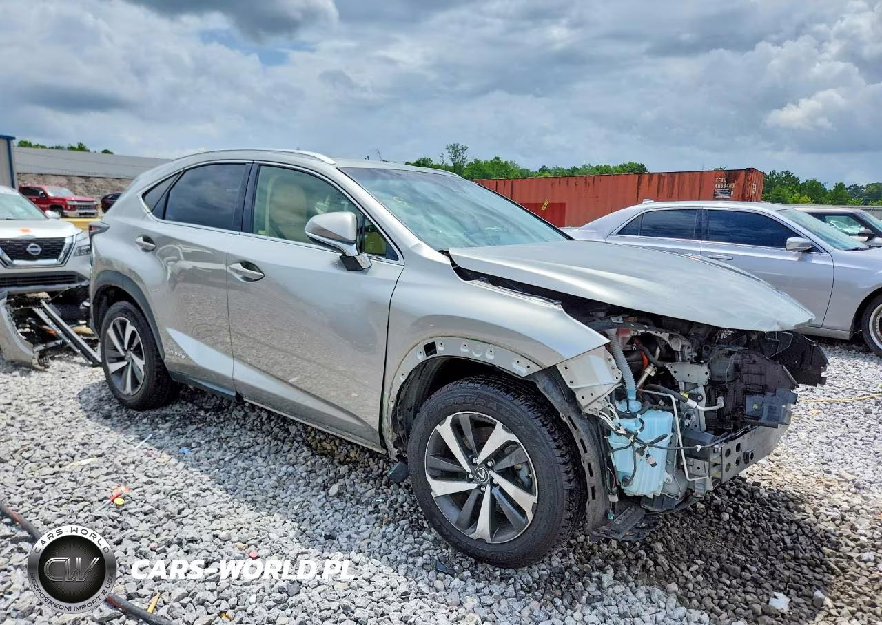 2019 Lexus Nx 300H VIN:JTJBJRBZ3K2104699 - 4