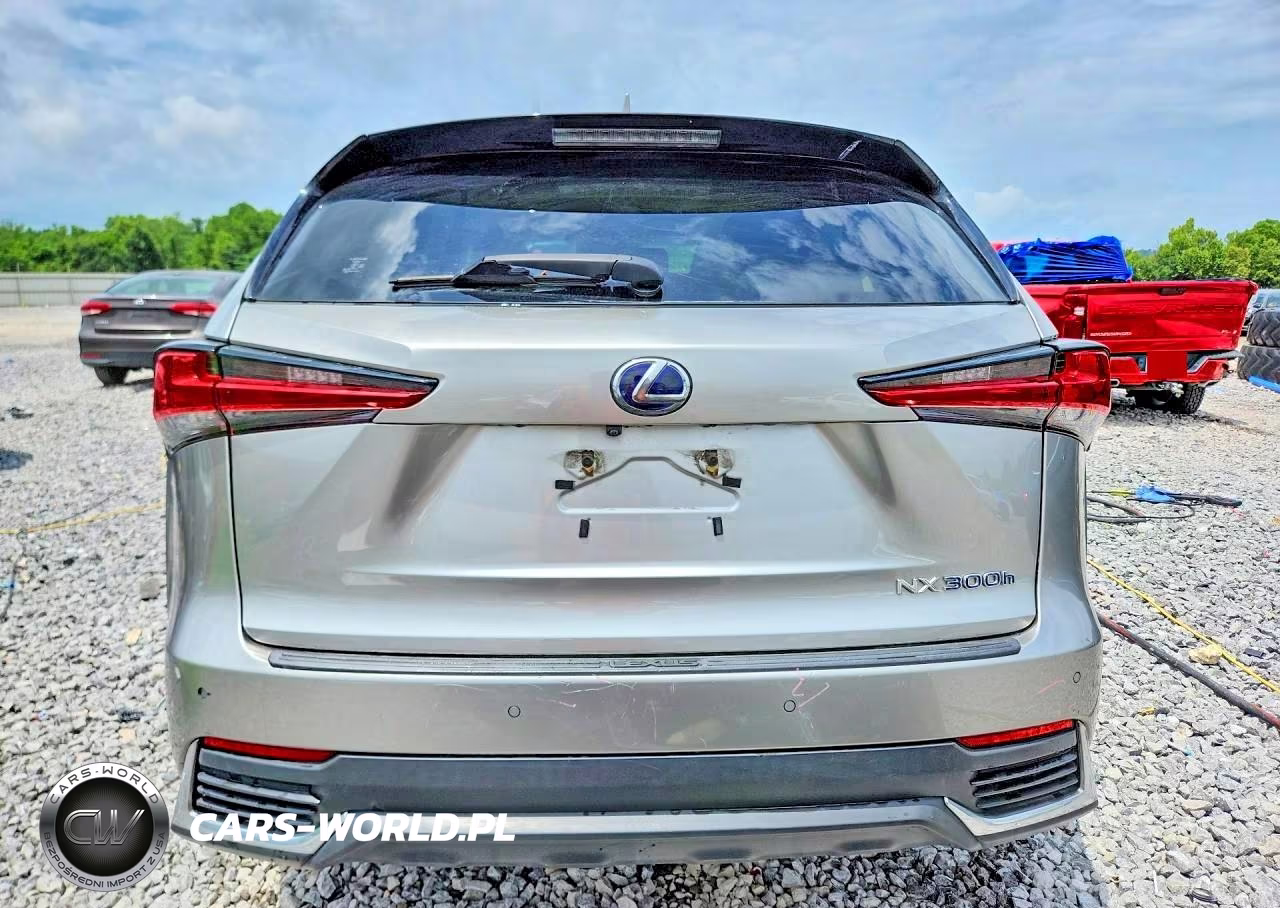 2019 Lexus Nx 300H VIN:JTJBJRBZ3K2104699 - 6