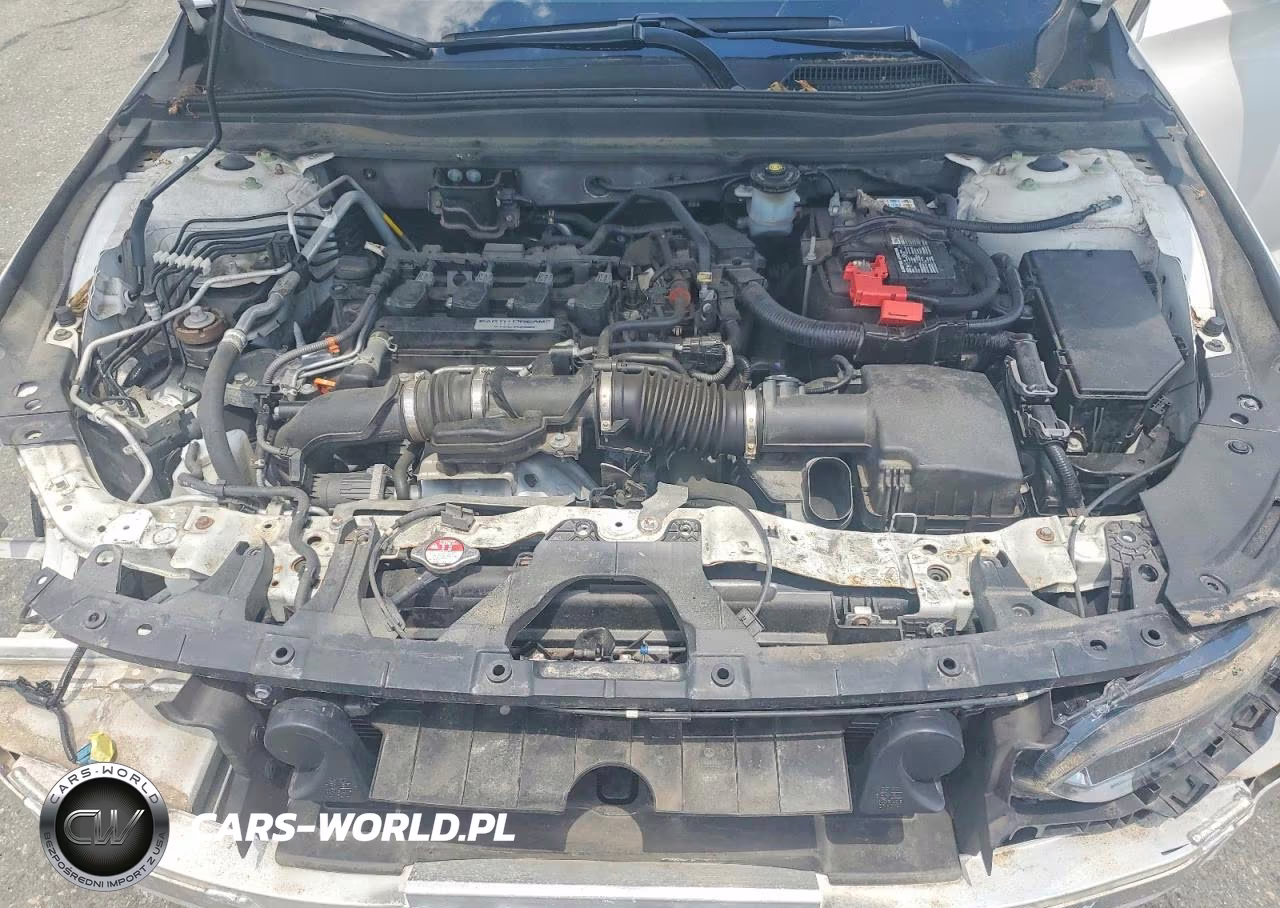 2019 Honda Accord Lx VIN:1HGCV1F13KA154222 - 11