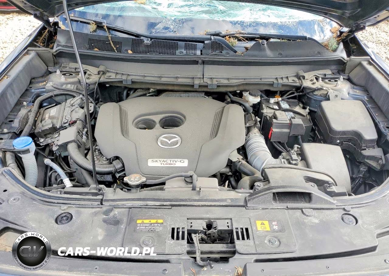 2022 Mazda Cx-9 Touring Plus VIN:JM3TCBAYXN0624536 - 11