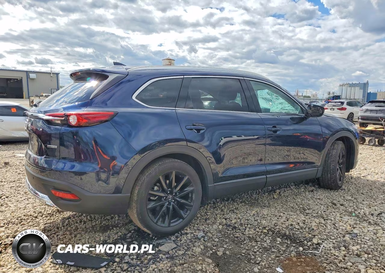 2022 Mazda Cx-9 Touring Plus VIN:JM3TCBAYXN0624536 - 3