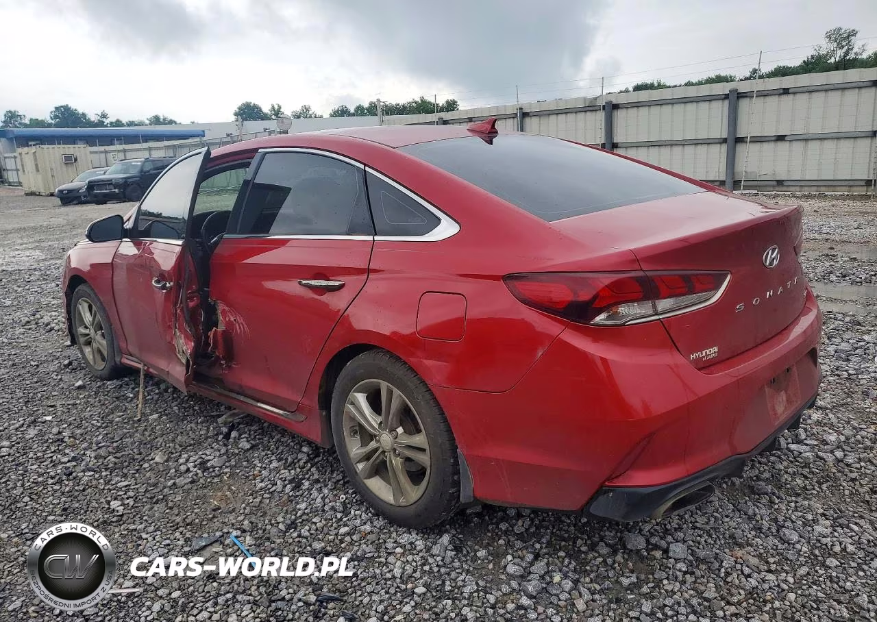 2019 Hyundai Sonata Sport VIN:5NPE34AF5KH783166 - 2