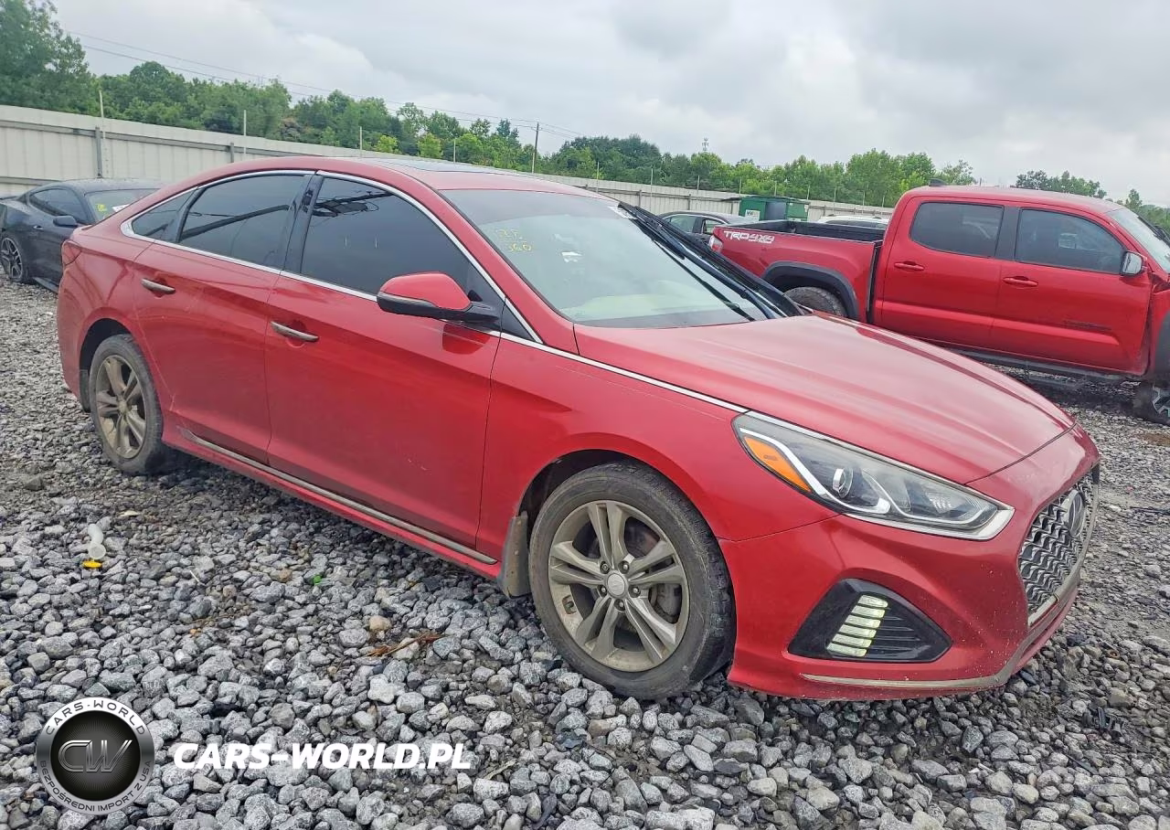 2019 Hyundai Sonata Sport VIN:5NPE34AF5KH783166 - 4