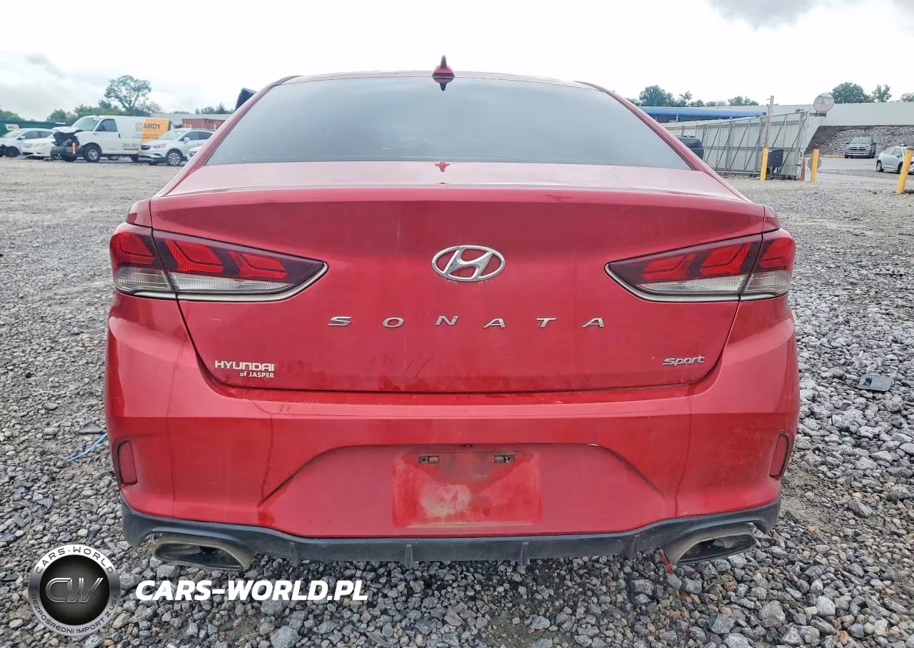 2019 Hyundai Sonata Sport VIN:5NPE34AF5KH783166 - 6