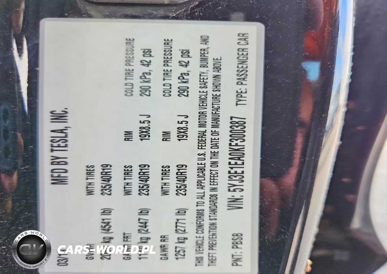 2019 Tesla Model 3 VIN:5YJ3E1EA0KF300387 - 12