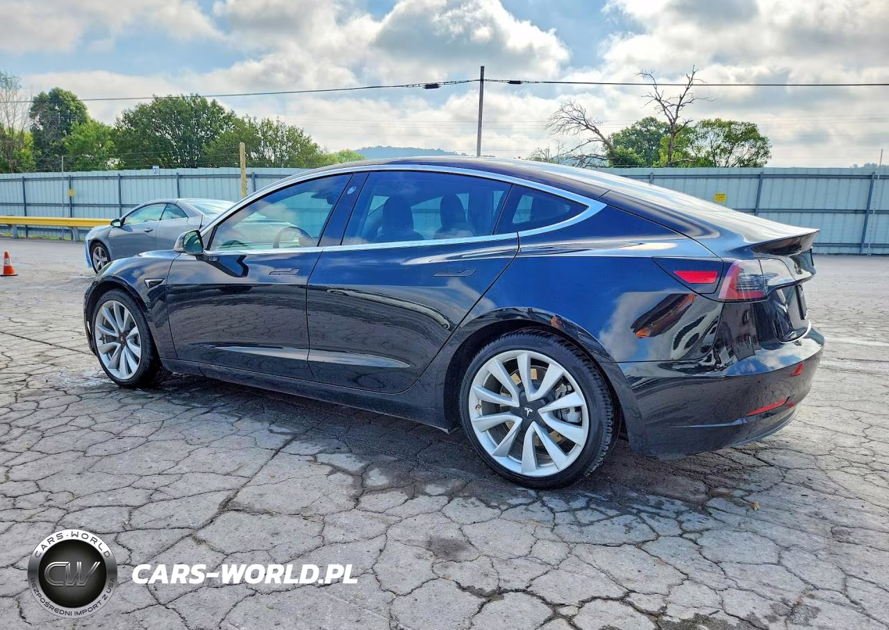 2019 Tesla Model 3 VIN:5YJ3E1EA0KF300387 - 2