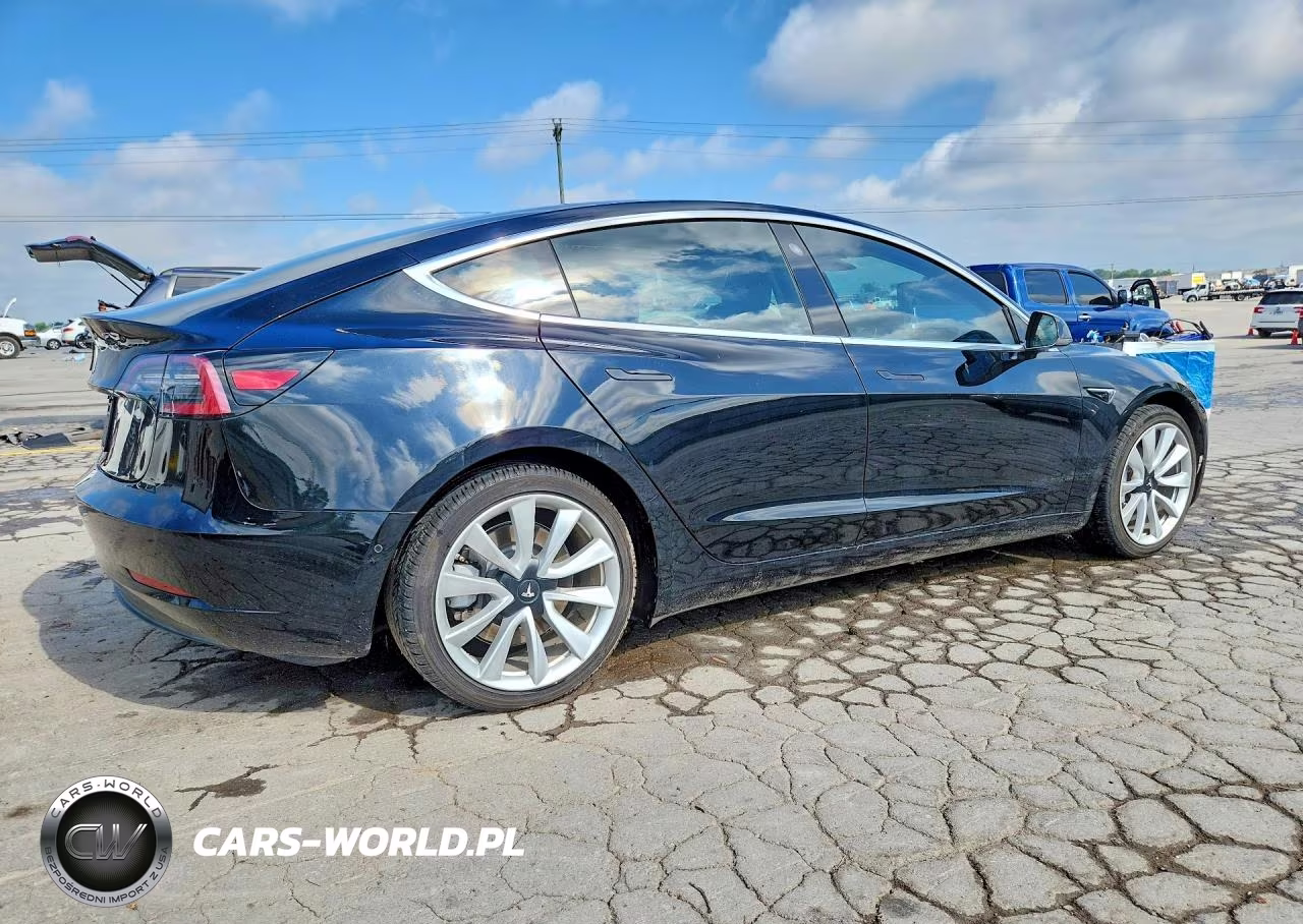 2019 Tesla Model 3 VIN:5YJ3E1EA0KF300387 - 3