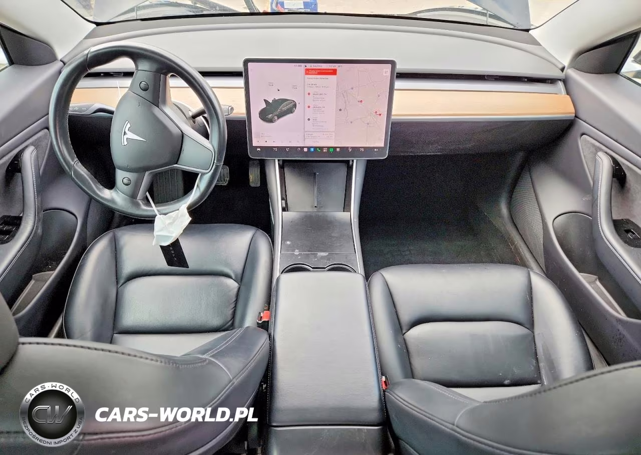 2019 Tesla Model 3 VIN:5YJ3E1EA0KF300387 - 8