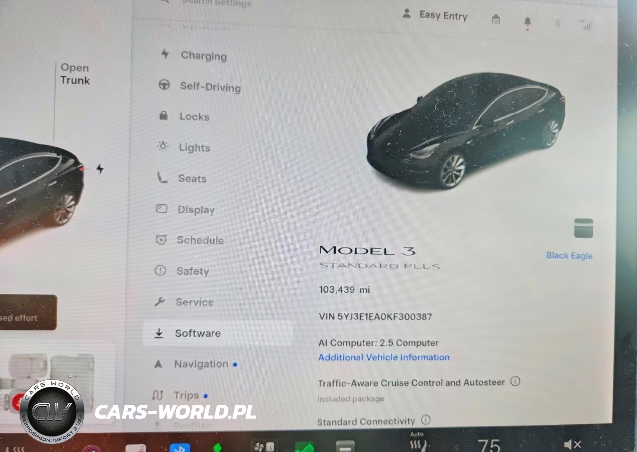 2019 Tesla Model 3 VIN:5YJ3E1EA0KF300387 - 9