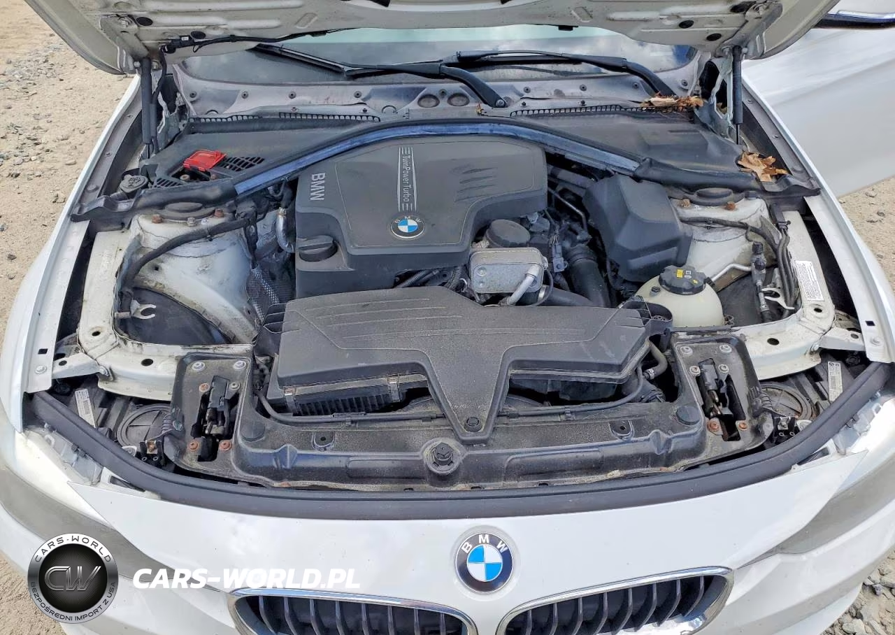 2015 BMW 320 I xDrive VIN:WBA3C3G51FNT53203 - 11