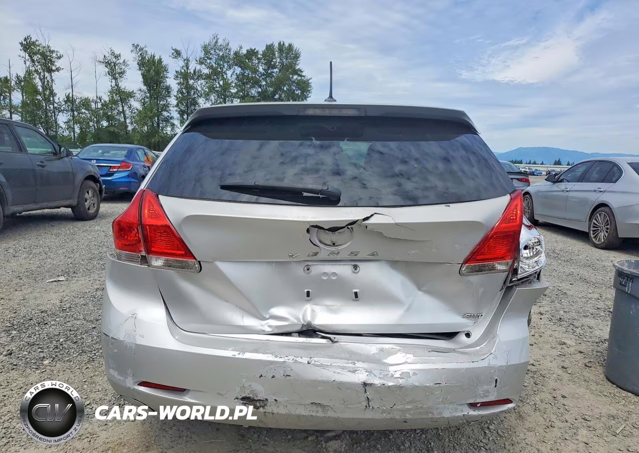 2010 Toyota Venza Awd 4Cyl VIN:4T3BA3BB0AU017478 - 6