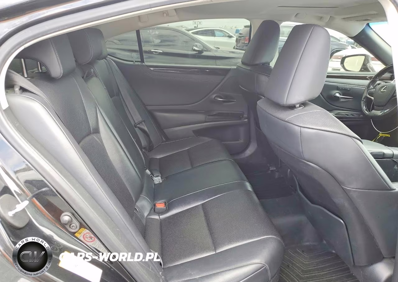 2019 Lexus Es 300H VIN:JTHB21B1XK2036900 - 10