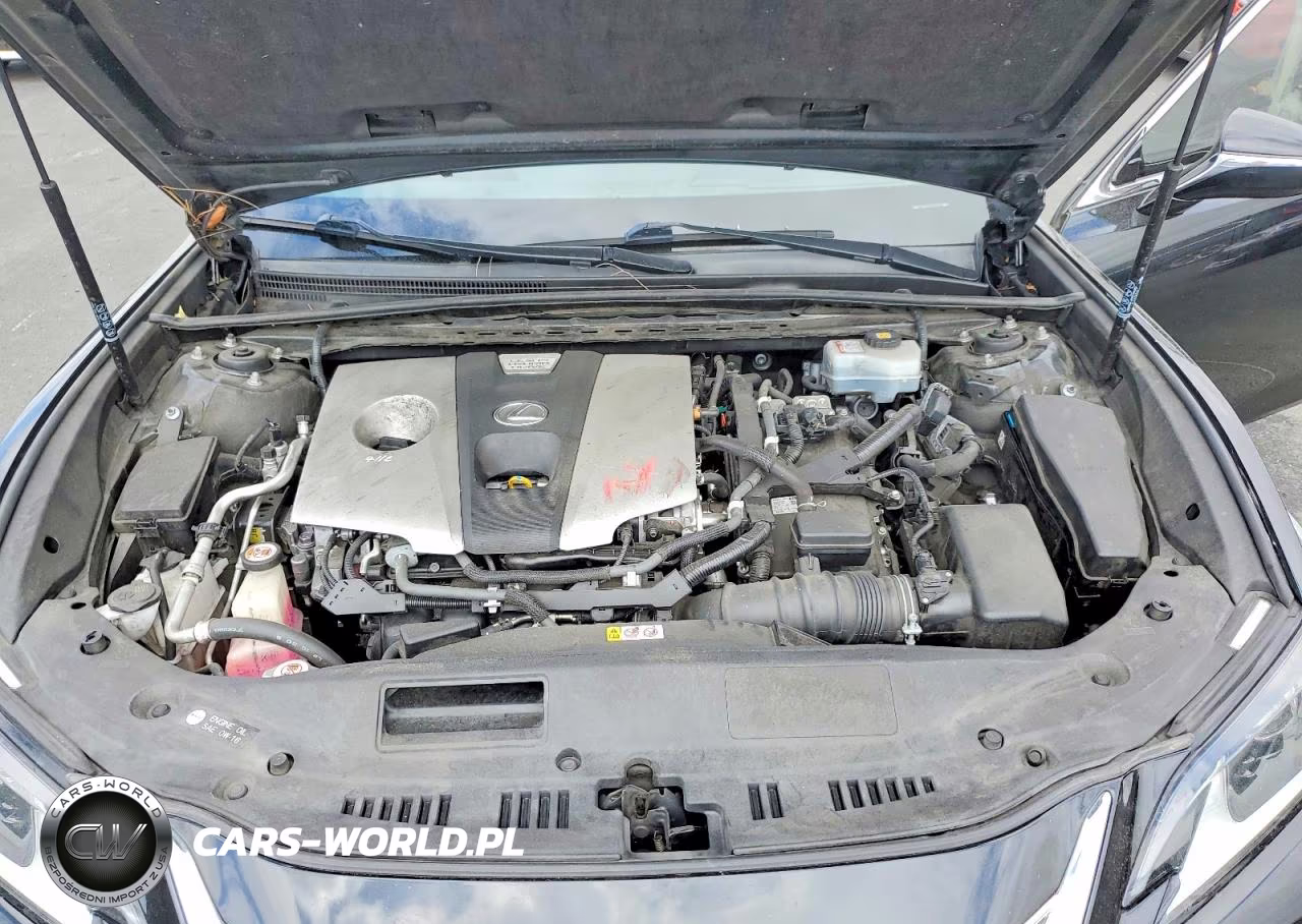 2019 Lexus Es 300H VIN:JTHB21B1XK2036900 - 11