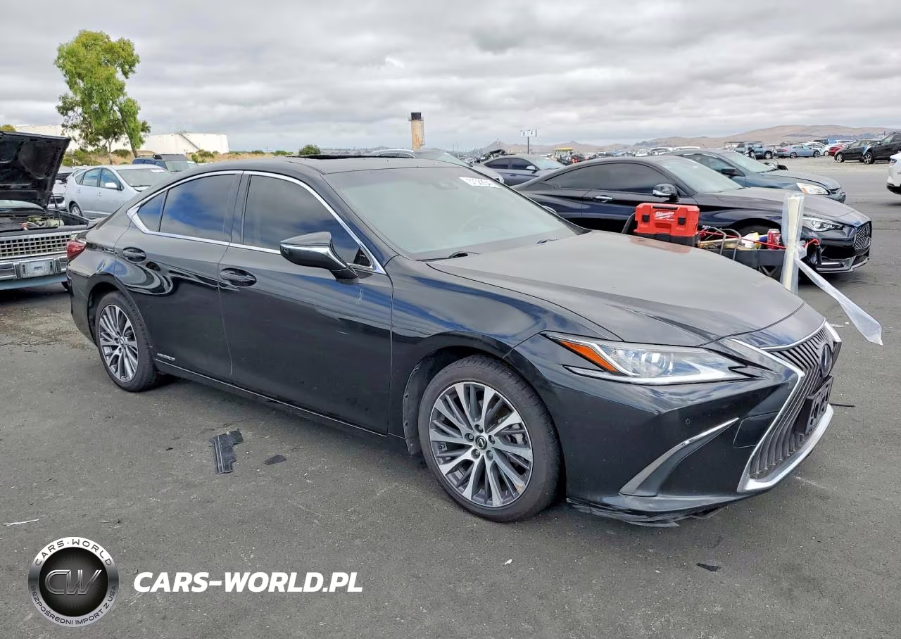 2019 Lexus Es 300H VIN:JTHB21B1XK2036900 - 4