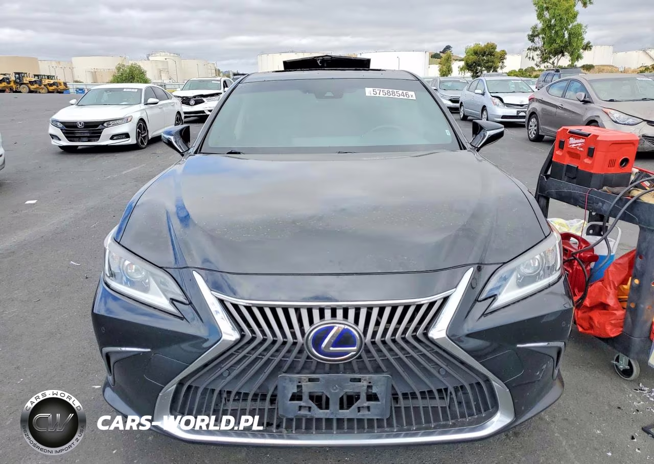 2019 Lexus Es 300H VIN:JTHB21B1XK2036900 - 5