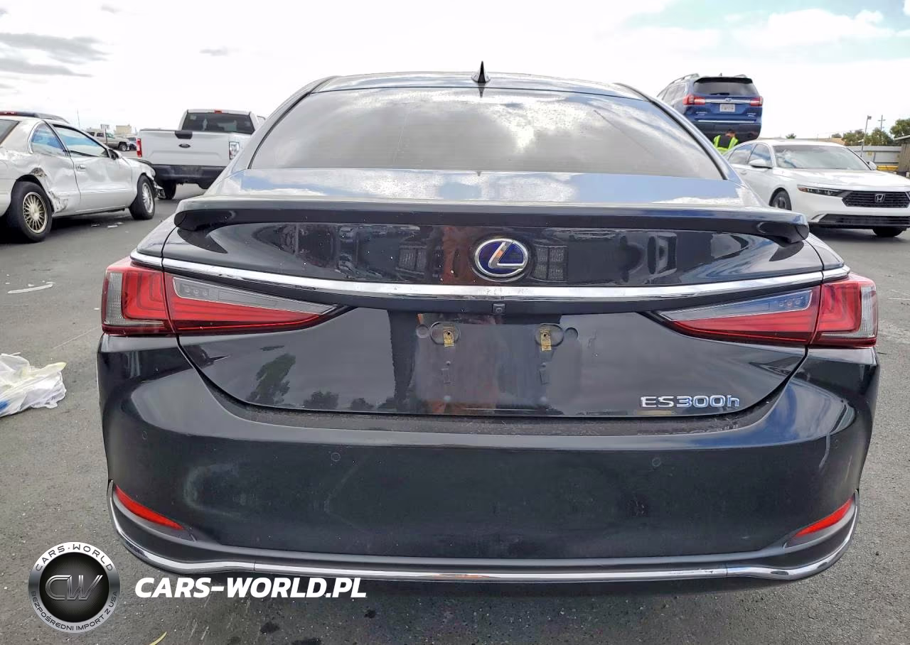 2019 Lexus Es 300H VIN:JTHB21B1XK2036900 - 6