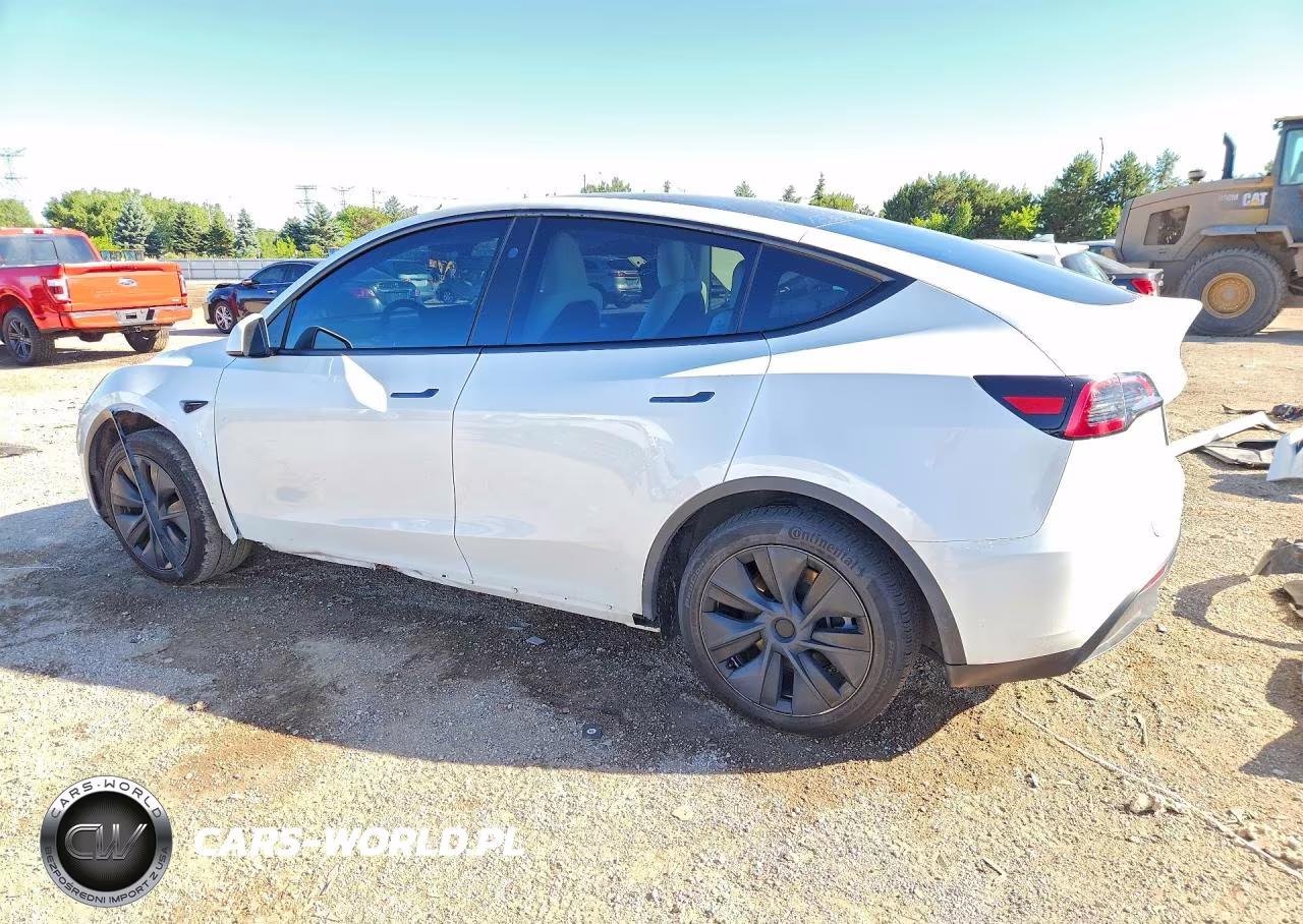 2024 Tesla Model Y VIN:7SAYGAEE2RF117301 - 2