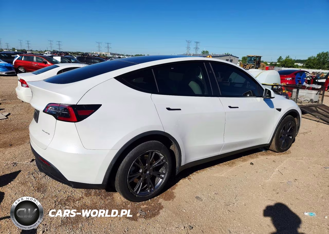 2024 Tesla Model Y VIN:7SAYGAEE2RF117301 - 3