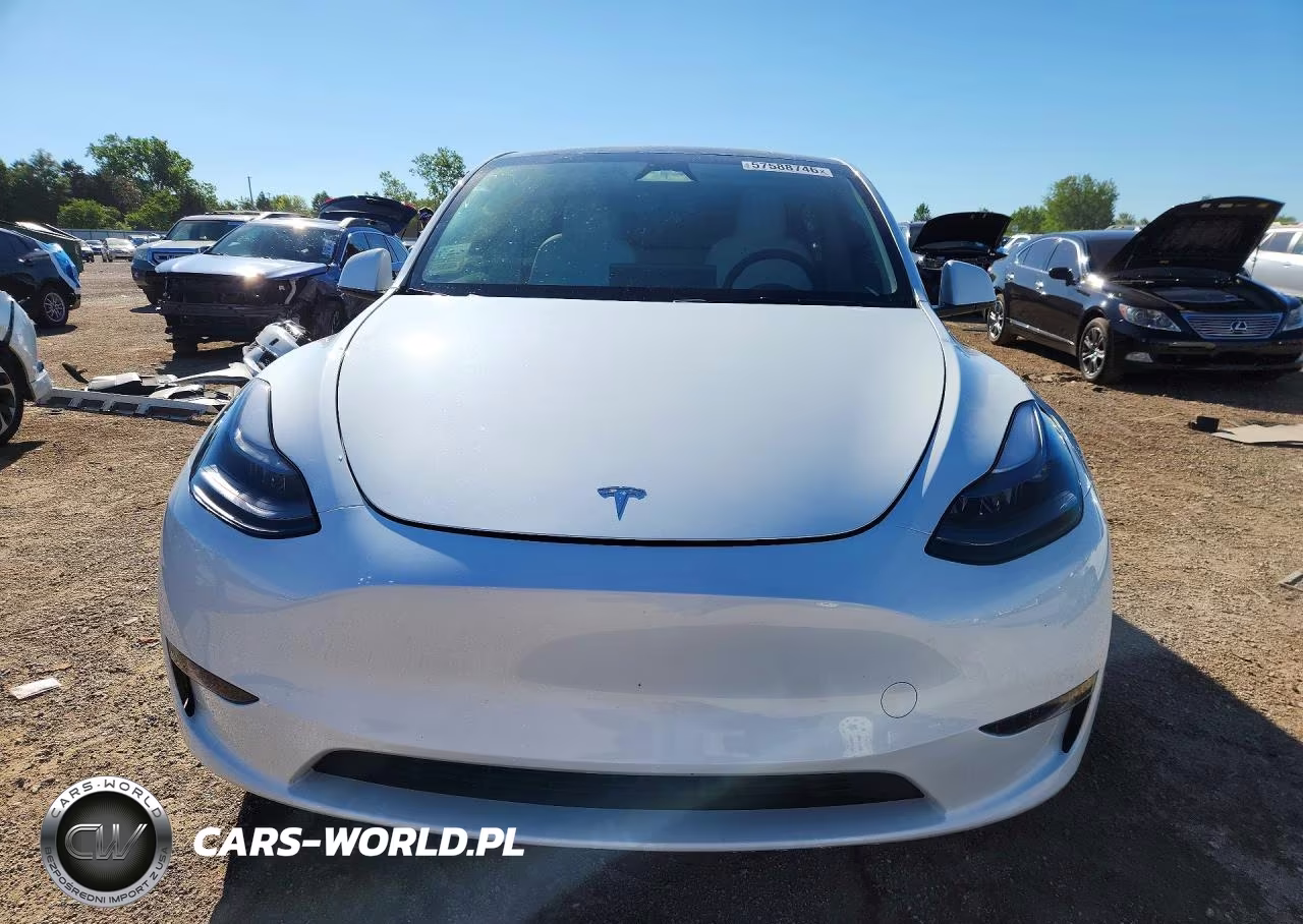 2024 Tesla Model Y VIN:7SAYGAEE2RF117301 - 5