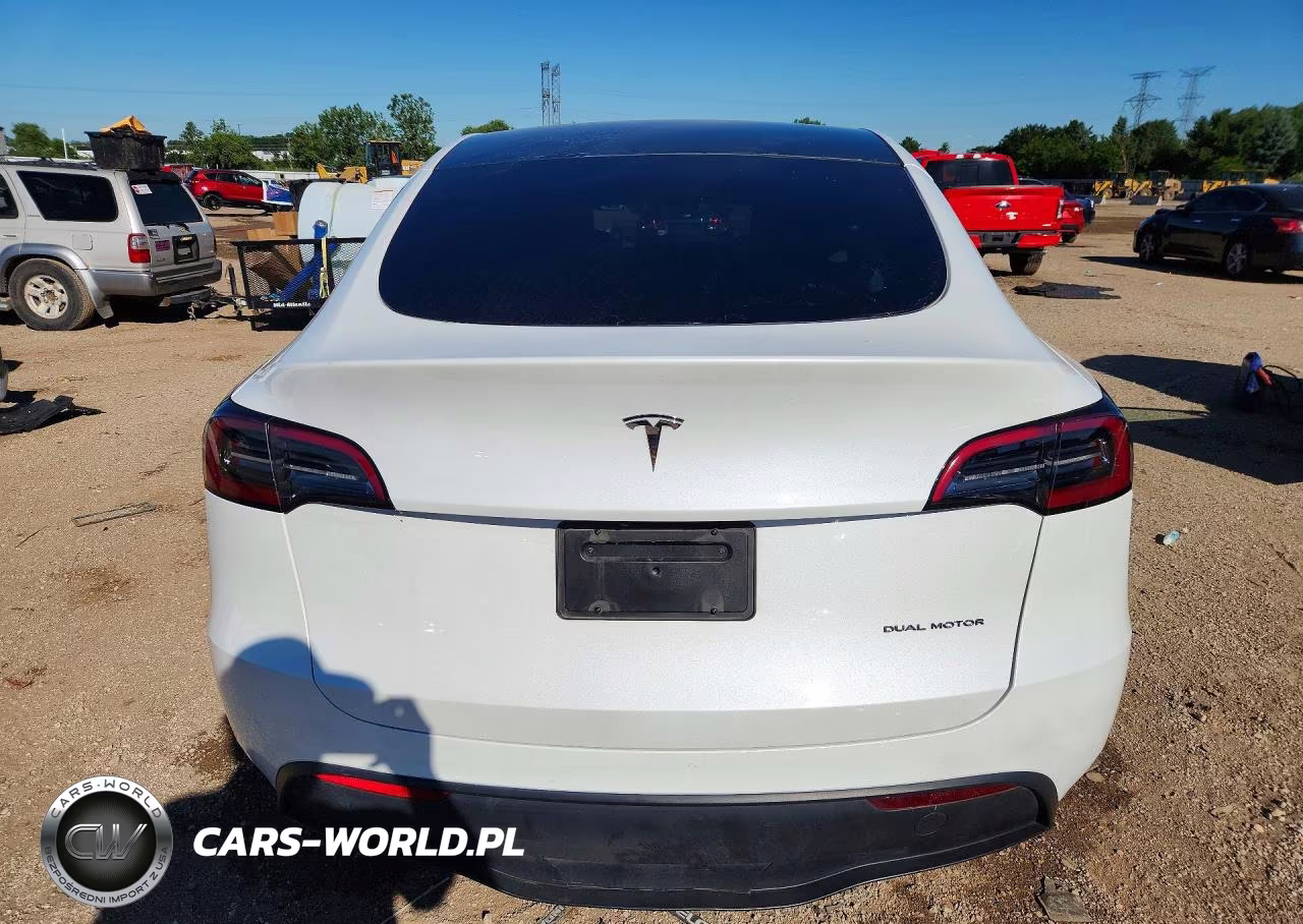 2024 Tesla Model Y VIN:7SAYGAEE2RF117301 - 6