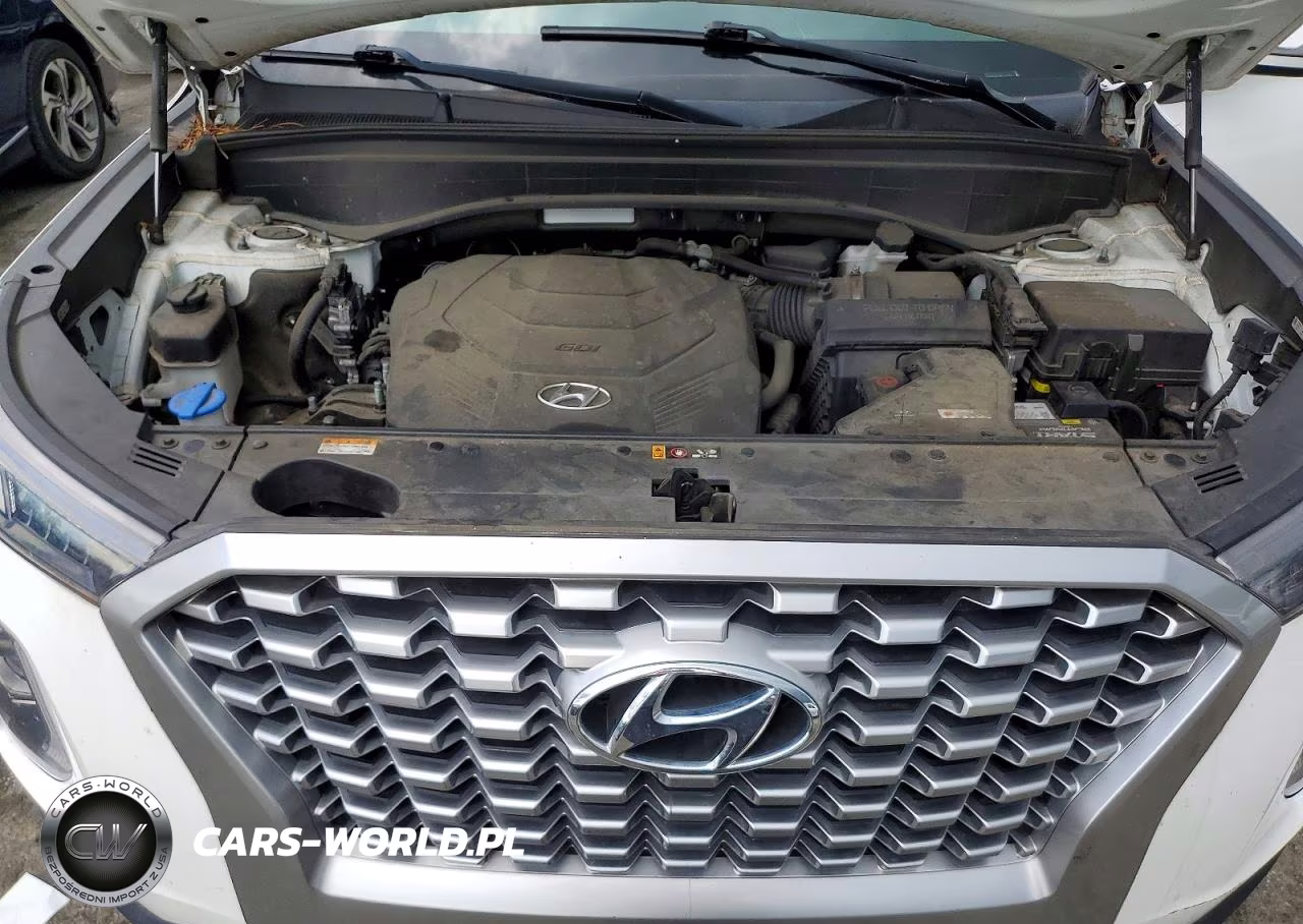 2021 Hyundai Palisade Sel VIN:KM8R2DHE9MU261002 - 12