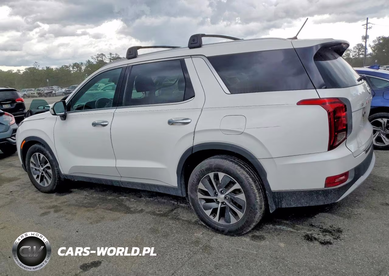 2021 Hyundai Palisade Sel VIN:KM8R2DHE9MU261002 - 2