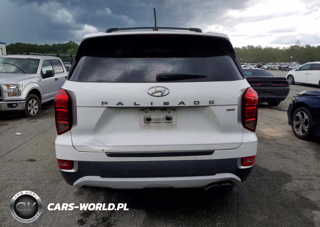 2021 Hyundai Palisade Sel VIN:KM8R2DHE9MU261002 - 6