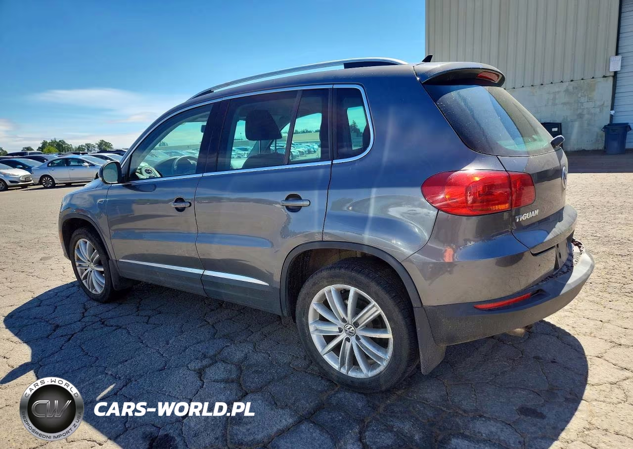 2014 Volkswagen Tiguan S VIN:WVGBV3AX7EW559231 - 2