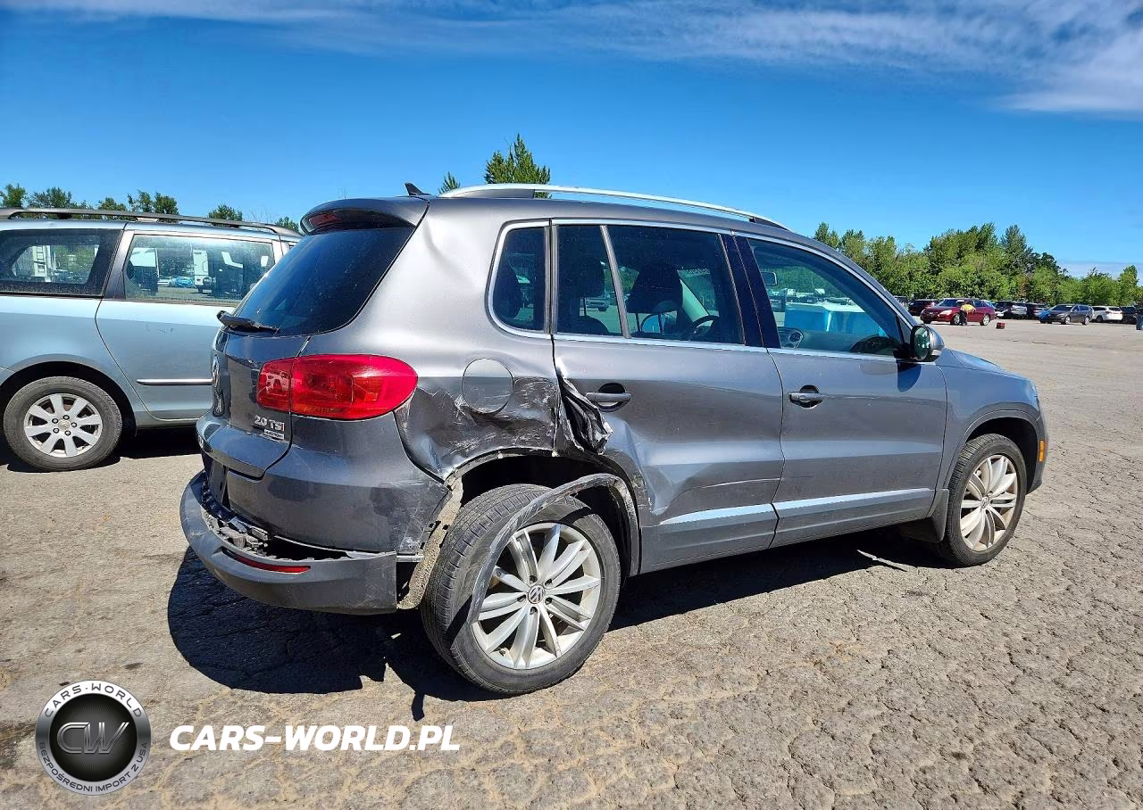 2014 Volkswagen Tiguan S VIN:WVGBV3AX7EW559231 - 3