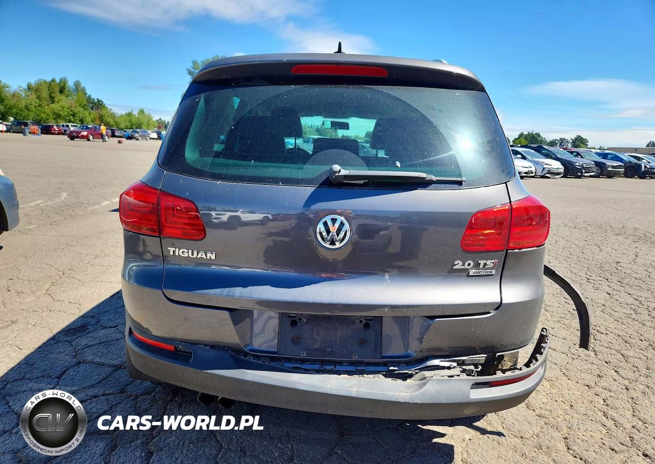 2014 Volkswagen Tiguan S VIN:WVGBV3AX7EW559231 - 6
