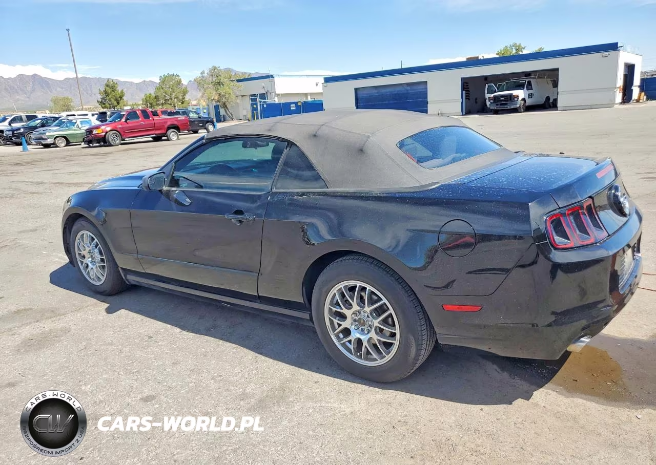 2013 Ford Mustang VIN:1ZVBP8EM0D5217066 - 2