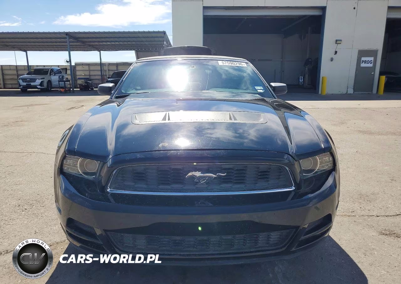 2013 Ford Mustang VIN:1ZVBP8EM0D5217066 - 5