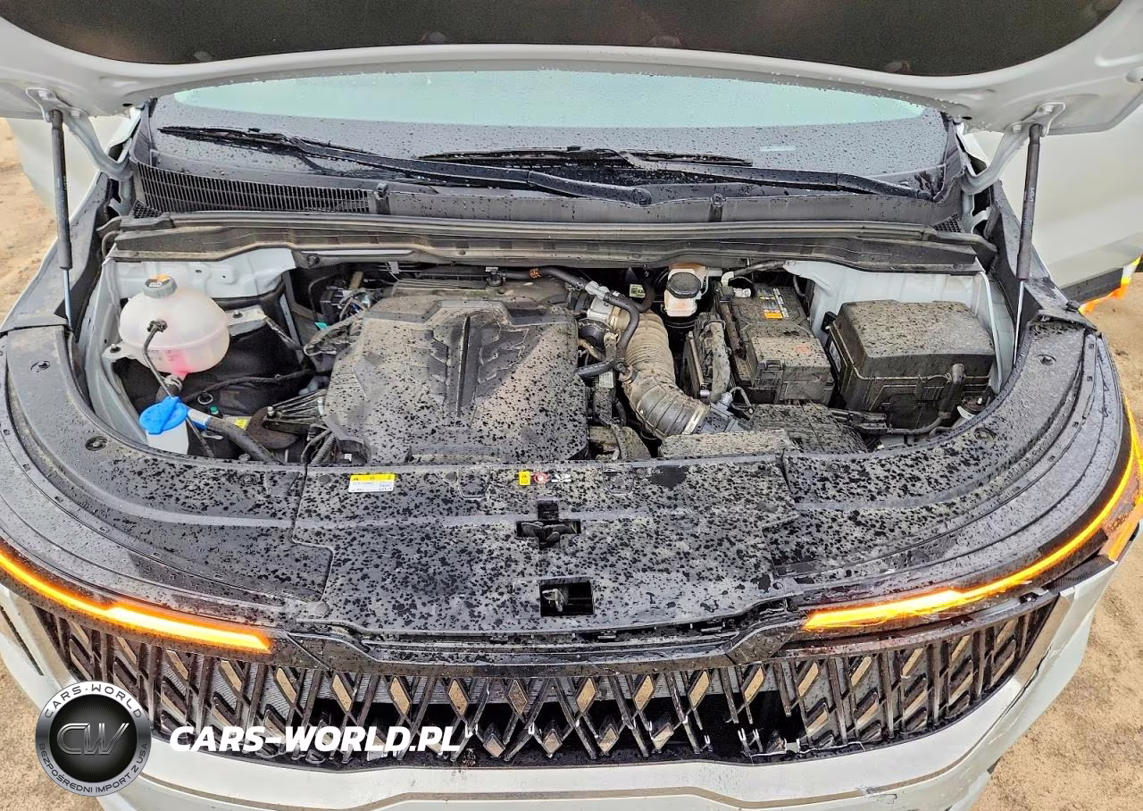 2025 Kia Carnival Ex VIN:KNDNC5K35S6537464 - 12
