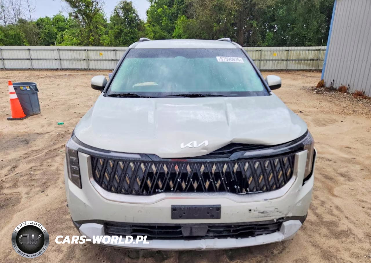 2025 Kia Carnival Ex VIN:KNDNC5K35S6537464 - 5