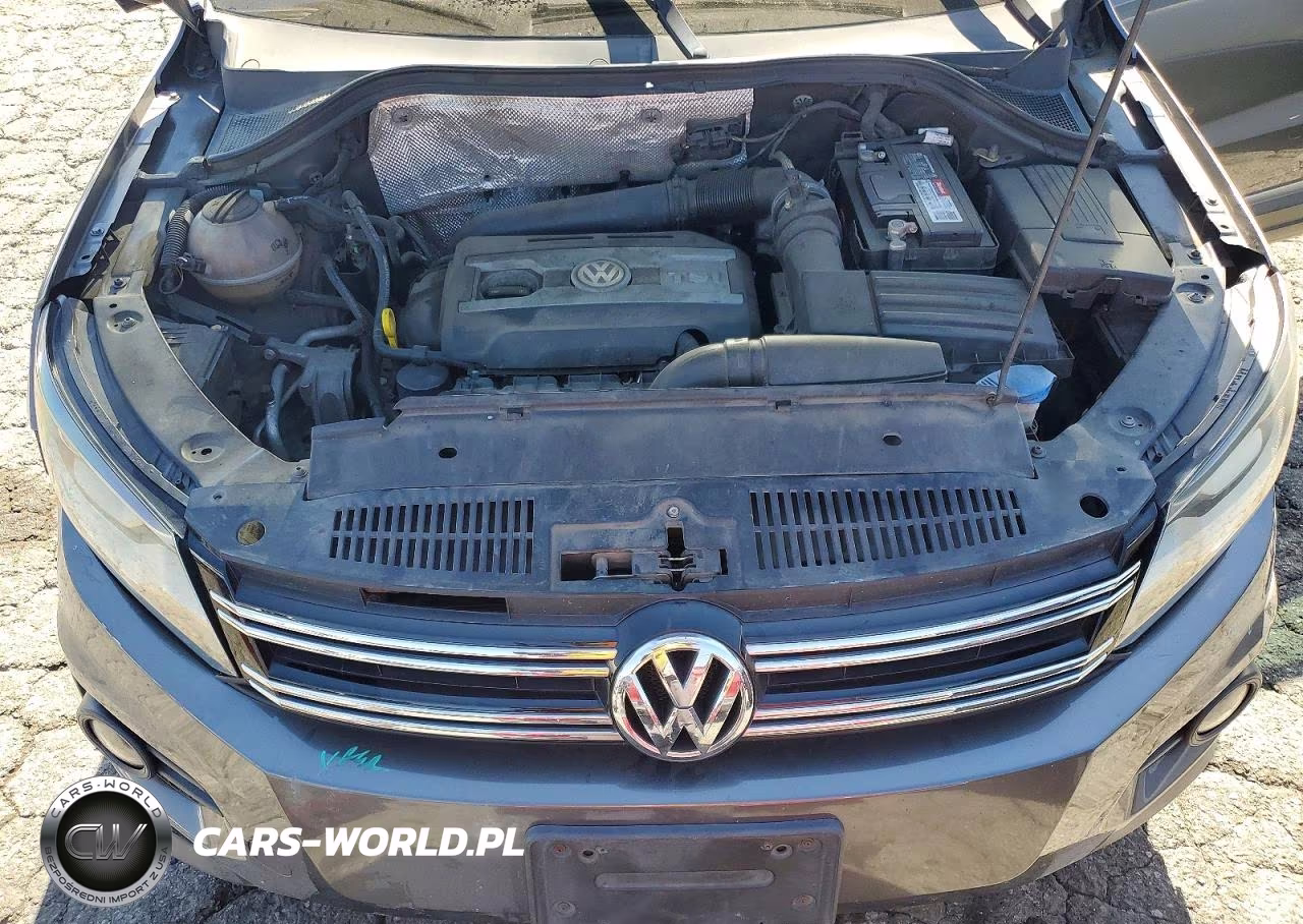 2016 Volkswagen Tiguan S VIN:WVGAV7AX5GW575207 - 12