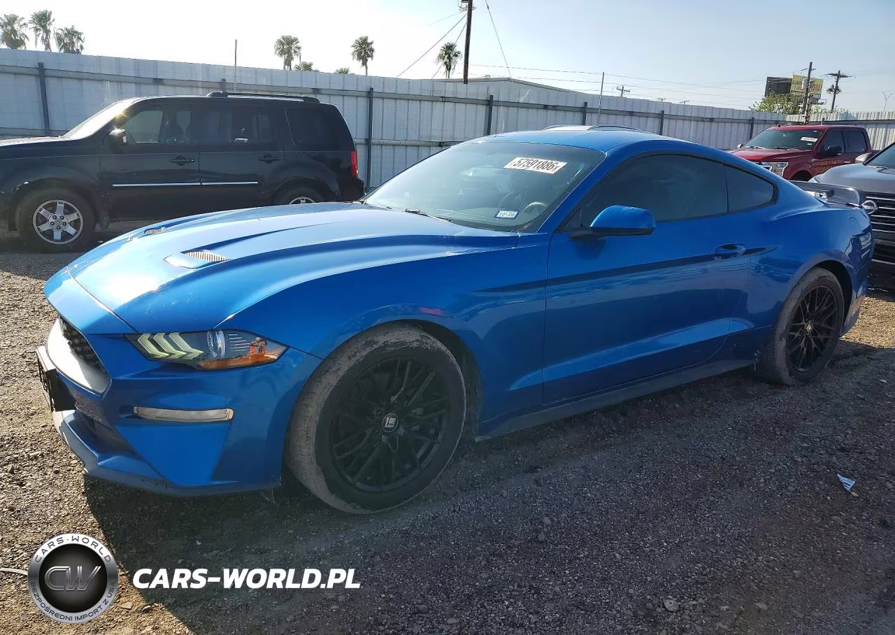 2019 Ford Mustang – zdjęcie 1 z 12