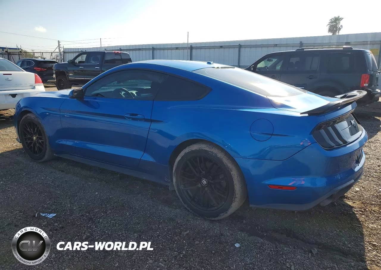 2019 Ford Mustang VIN:1FA6P8TH7K5125398 - 2