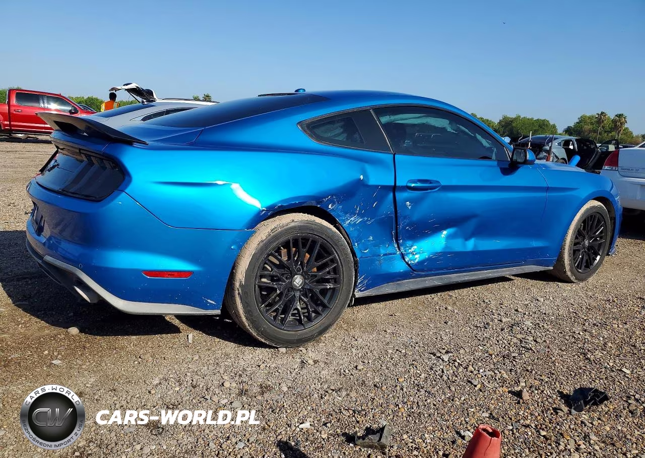 2019 Ford Mustang VIN:1FA6P8TH7K5125398 - 3