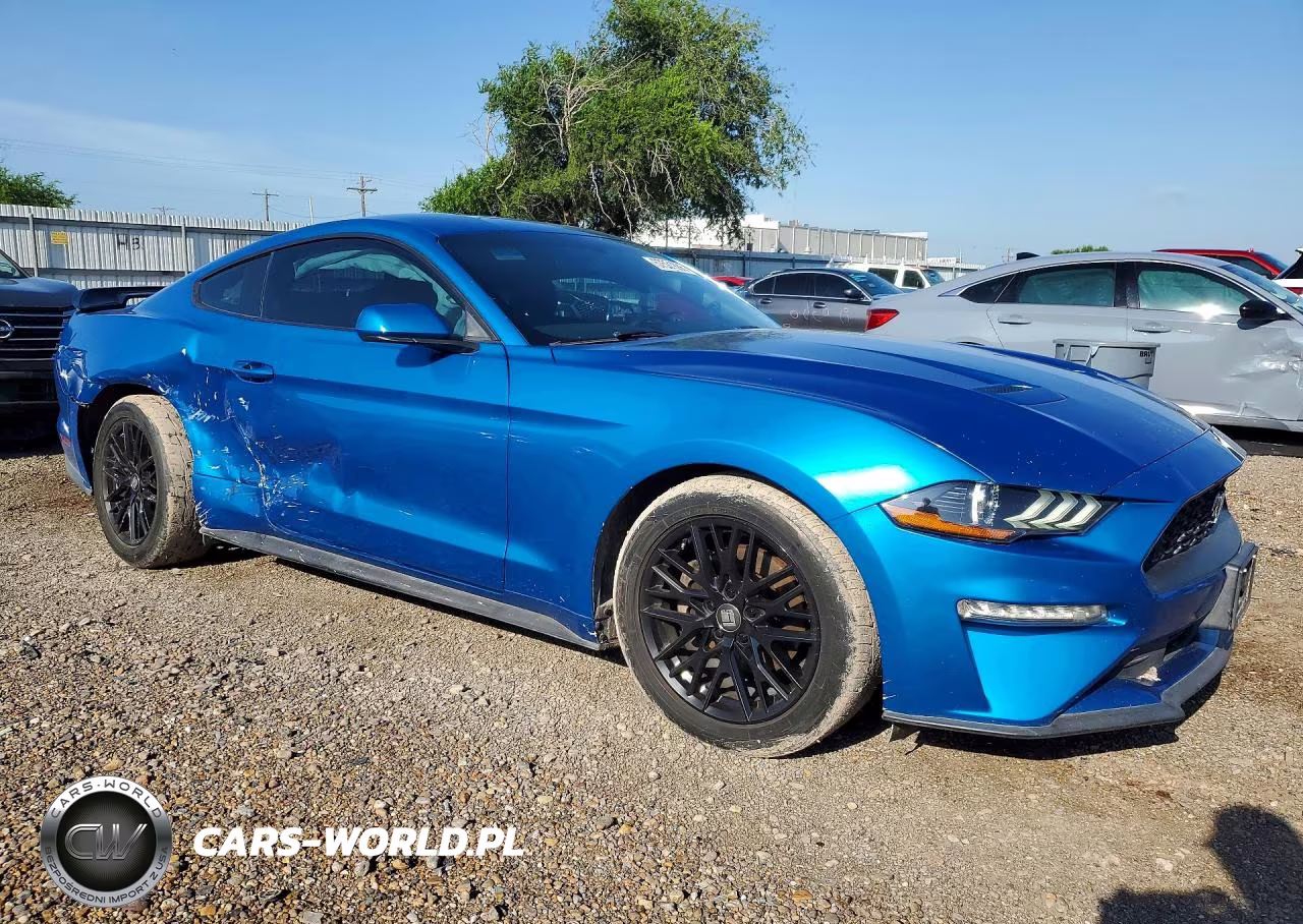 2019 Ford Mustang VIN:1FA6P8TH7K5125398 - 4