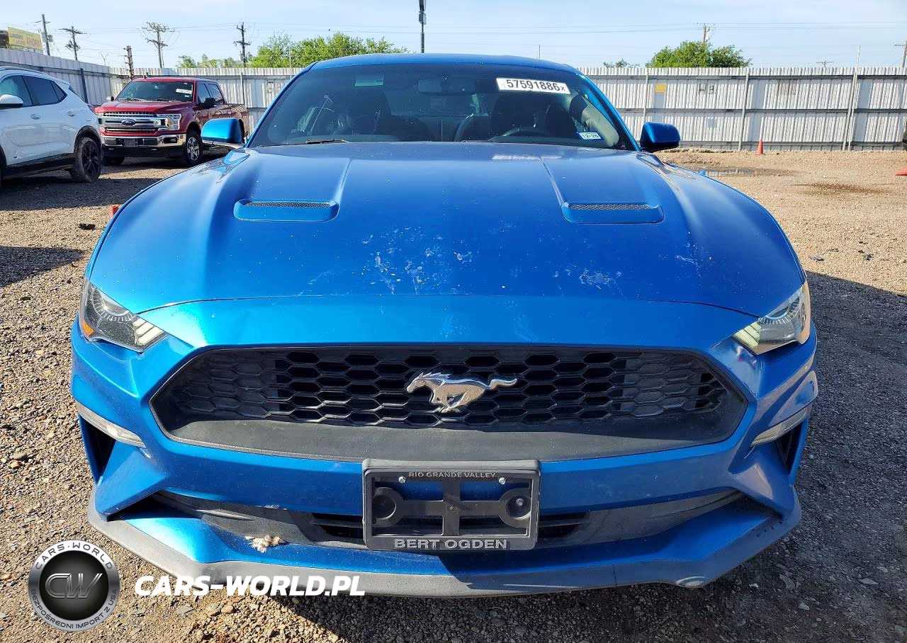 2019 Ford Mustang VIN:1FA6P8TH7K5125398 - 5