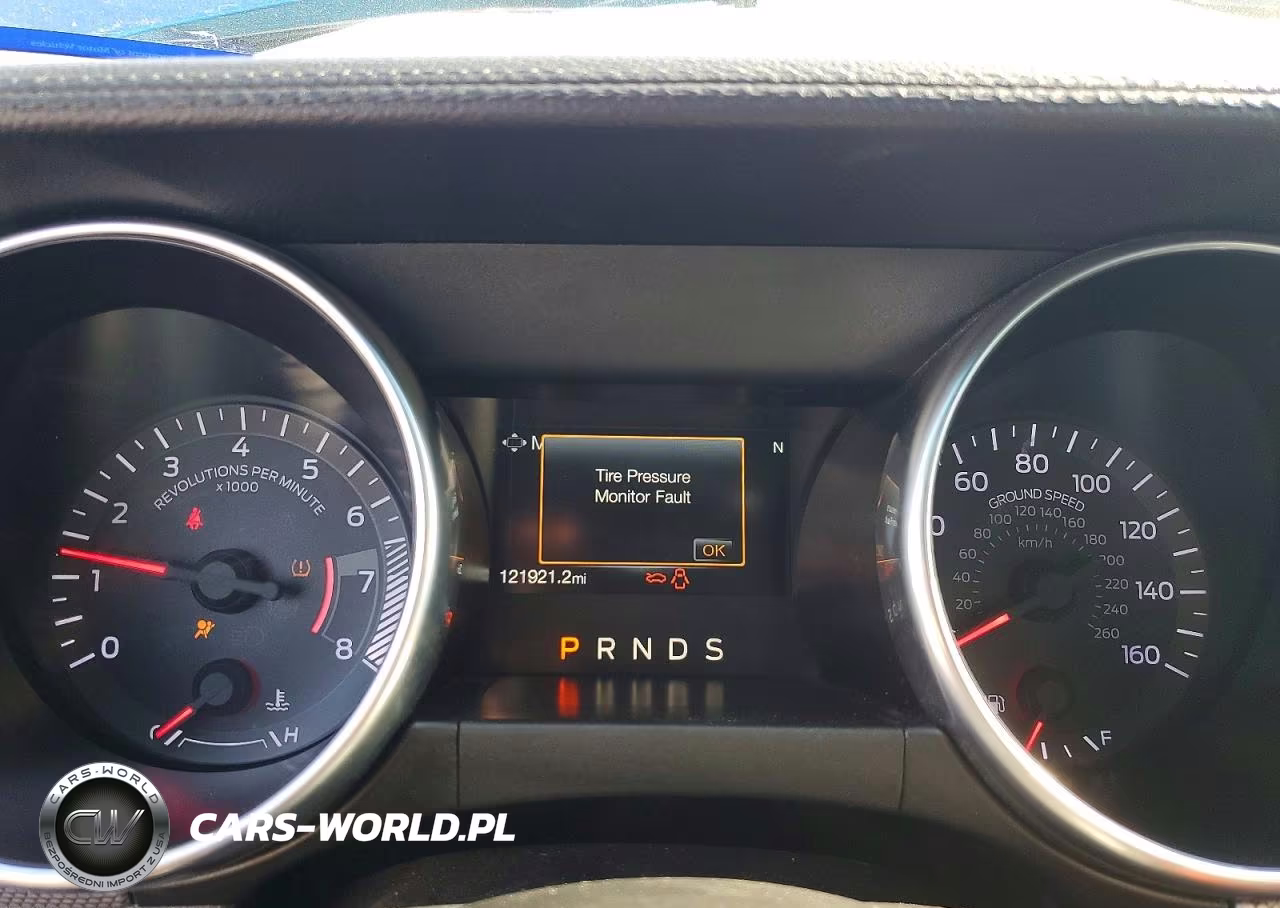 2019 Ford Mustang VIN:1FA6P8TH7K5125398 - 9