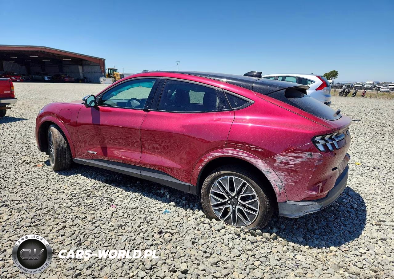 2025 Ford Mustang Mach-E Premium VIN:3FMTK3R7XSMA08059 - 2
