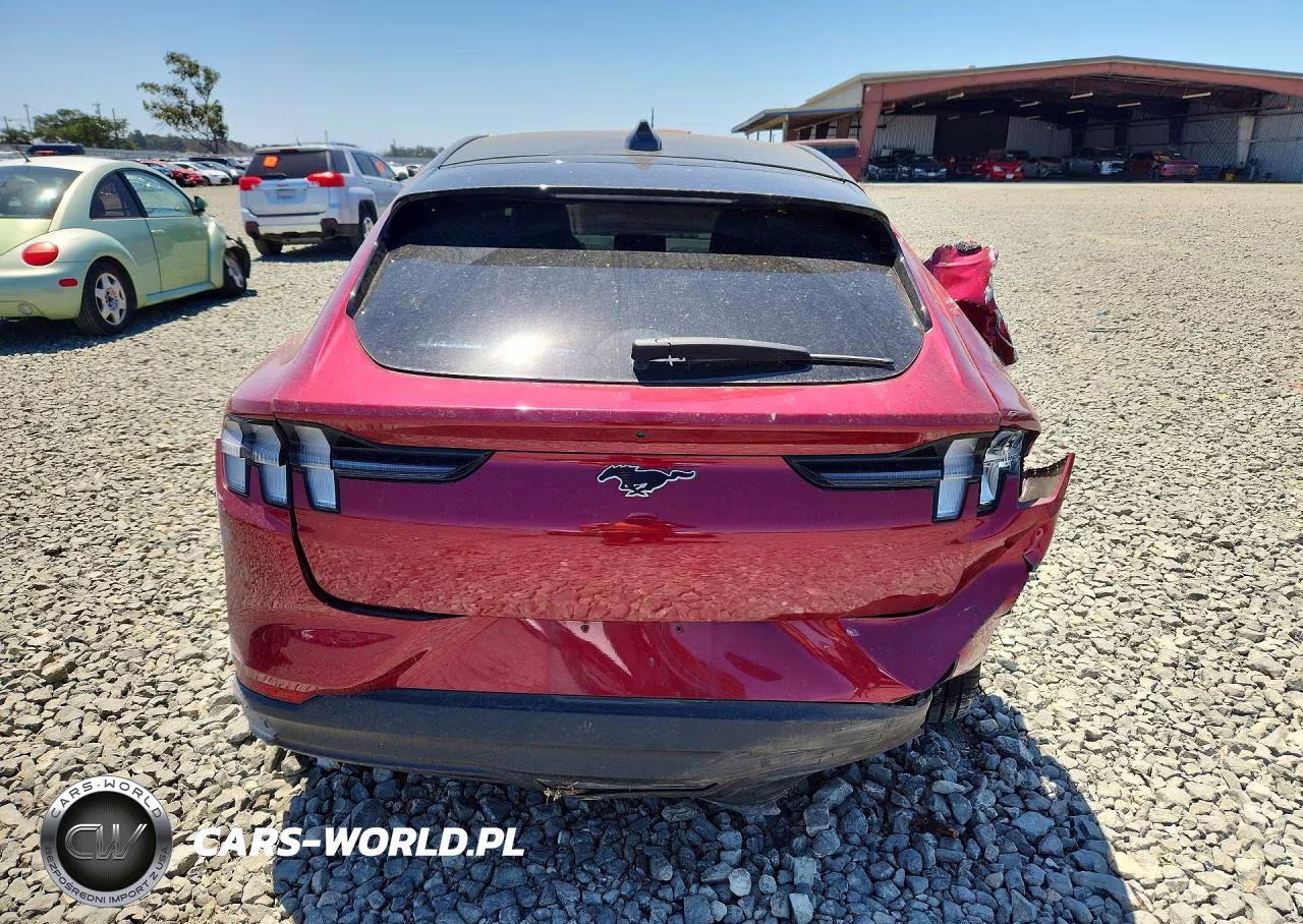 2025 Ford Mustang Mach-E Premium VIN:3FMTK3R7XSMA08059 - 6