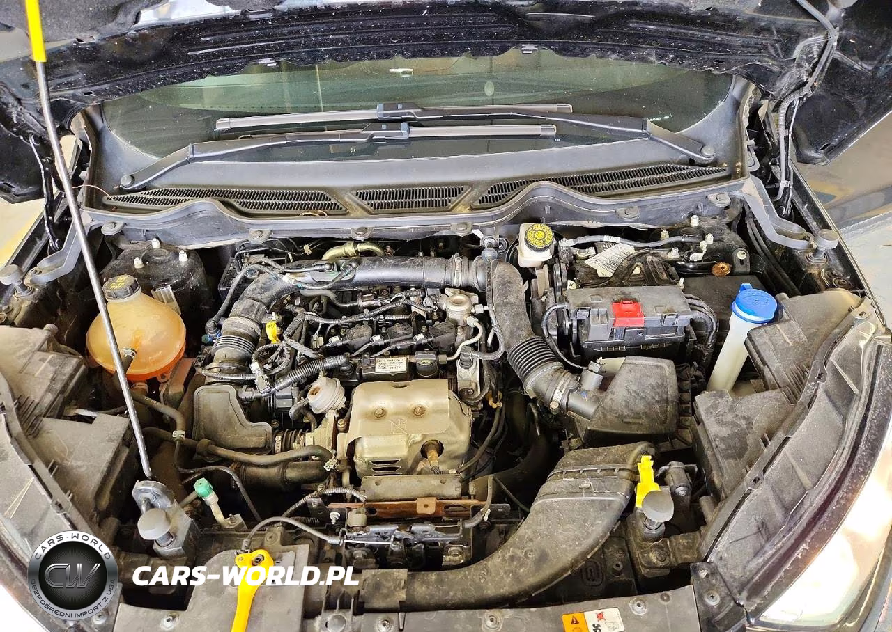 2021 Ford Ecosport Se VIN:MAJ3S2GE7MC434821 - 12